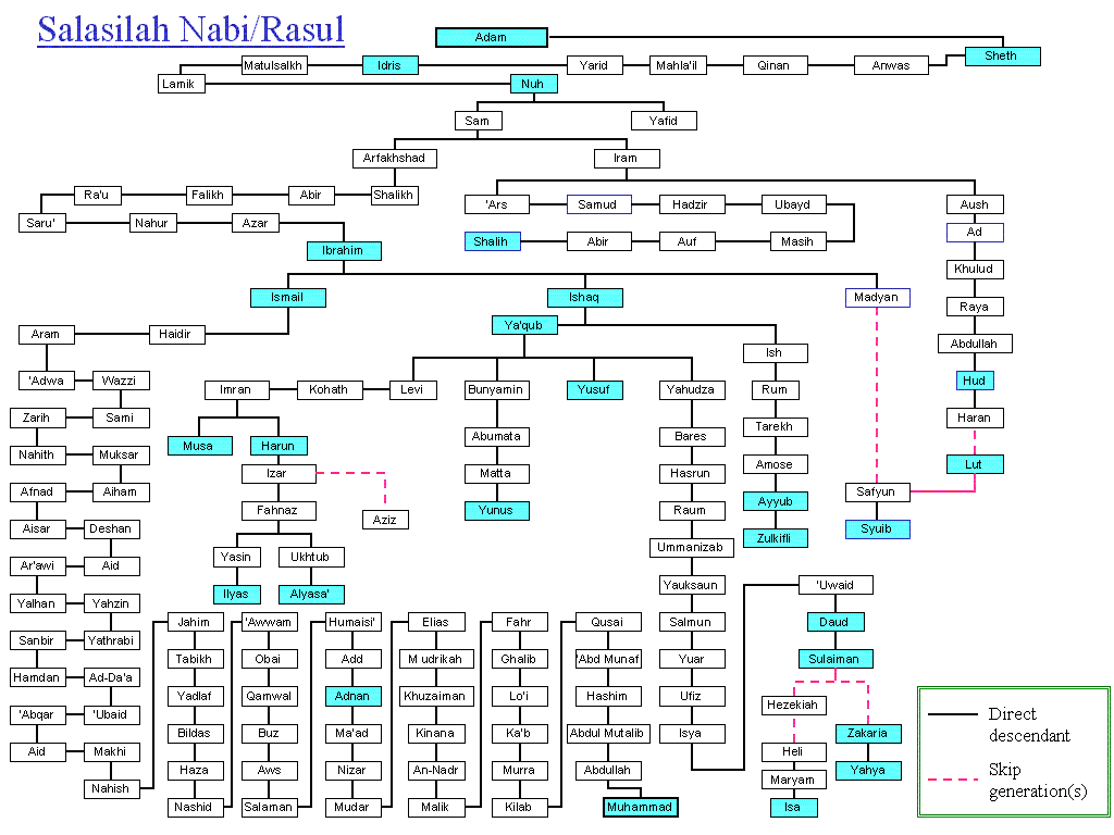 shajat alrosl - shajat_alrosl