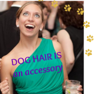 Dog Hair Is An Accessory