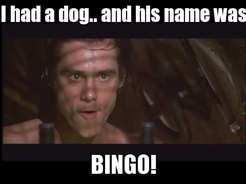 [Image: Bingo.jpg]