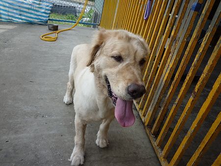 圖檔