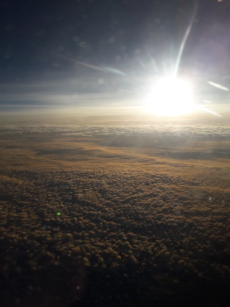 20170220_072249.jpg