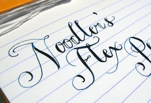 noodlers-flexnib-05_resize_zps15d92242.jpg