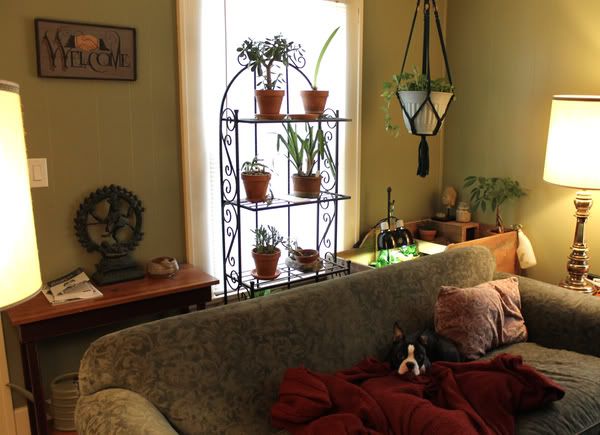 LivingroomSheldonscorner2.jpg