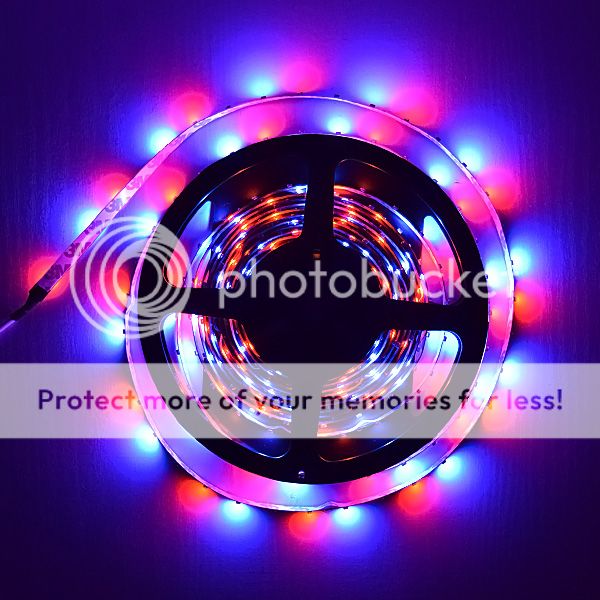 5M 3528 SMD 300 5 Color LED Strip Light Waterproof 12V DIY Party Decorations