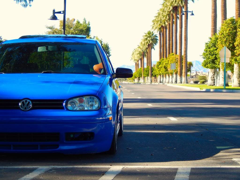Vwvortex Com